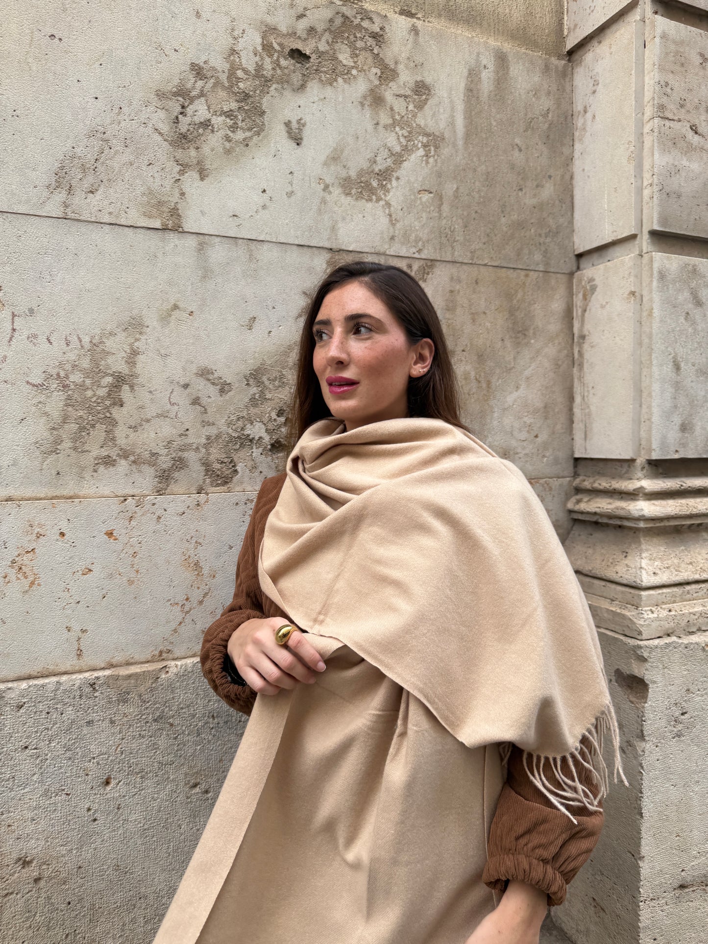 Mari Carmen Beige Scarf