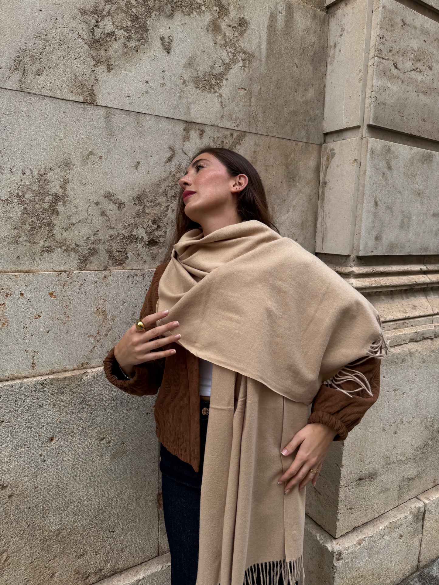 Mari Carmen Beige Scarf