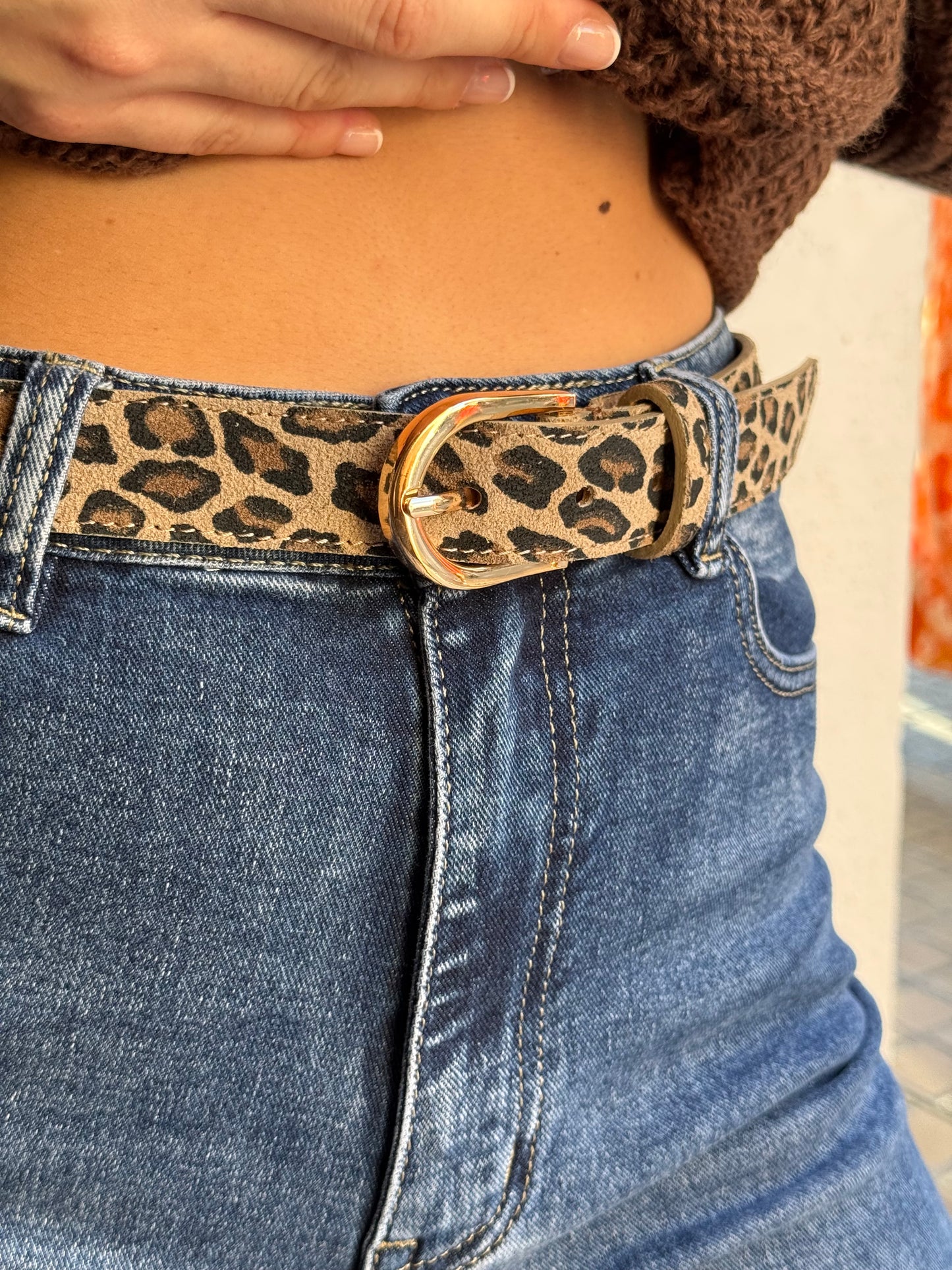 Animal Print Sun Belt